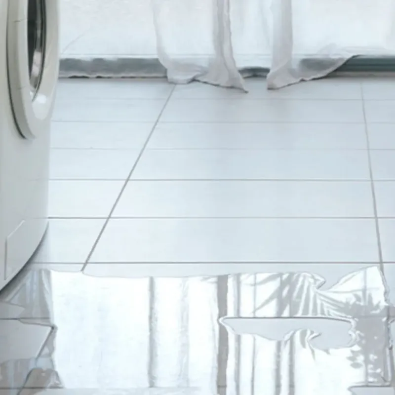 Appliance Leak Cleanup in Clatskanie, OR